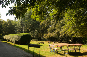 Lagerfeuer- und Grillplatz