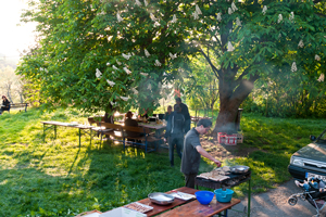 Lagerfeuer- und Grillplatz