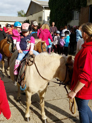 Herbstfest 2018