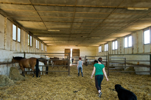 Kleiner Stall