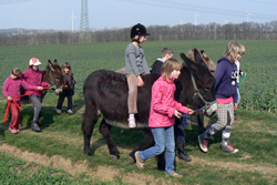 Mit Packpferd und Esel unterwegs