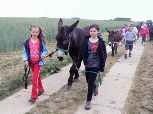 Ausflug mit den Eseln und Ponys