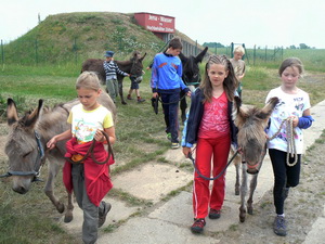 Ausflug mit den Eseln und Ponys