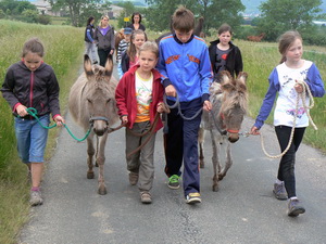 Ausflug mit den Eseln und Ponys