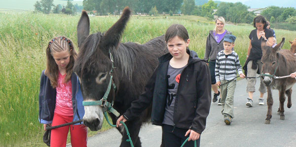 Ausflüge mit Esel und Ponys