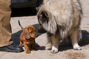 Sina und Marei