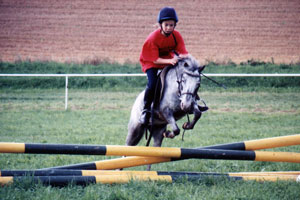 Bina das Springpony