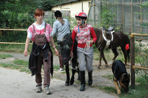 Flicka nach der Reitstunde