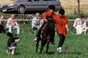 Ponyspiele mit Flicka