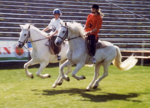 Gipsy und Ginger beim Pferd-International in München