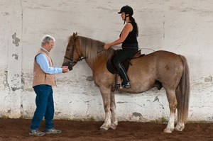 Obelix beim Dressurkurs mit Michael Putz