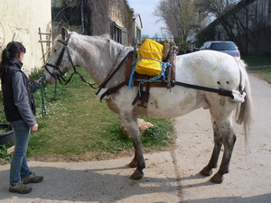 Pierot mit Packsattel