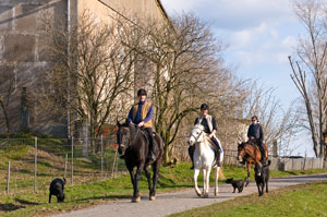 Auf dem Weg zum Reitplatz