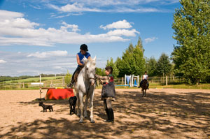 Reitstunde auf dem Sandplatz