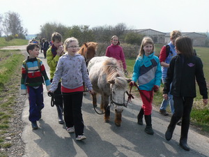 Ausflug mit den Eseln und Ponys