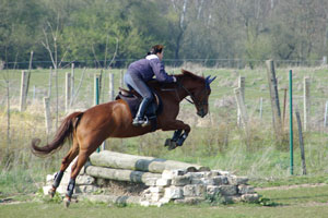 Springen