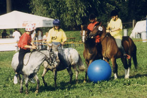 Bröserl beim Ponyfußball